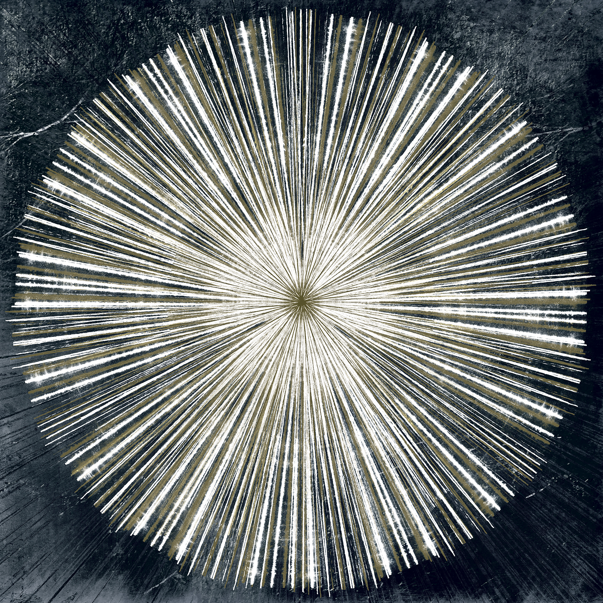 Indigo Radial II