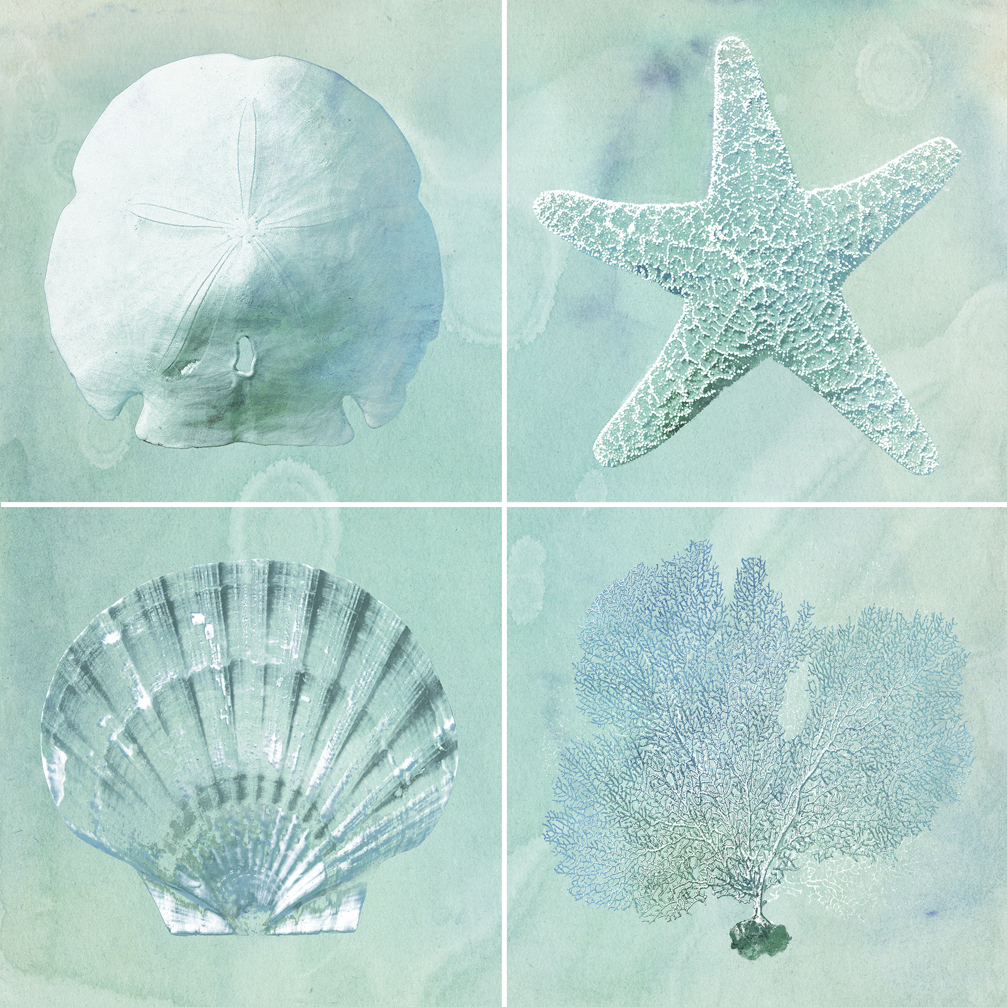 Sea Life in Blues